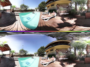 To Imagine a Reality