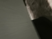 国企干部杨花（杨乔予）