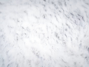 众筹购得《超拟真充气娃娃》童颜巨乳、可爱肉包稀有尺度释出四点全露