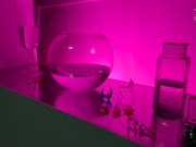 [DDT-661] いやらしいお姉さんのオナニー・ナビゲーター 塩見彩 - 1of5