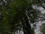 [SUJI-229] おじさん、今何してるの？暇なの？わたしと遊ぼっニコッ笑顔で突然話かけてきた女の子に誘われて…かな 由良かな - 1of5