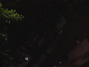 [IPZZ-178] 婚前同窗会被最坏做爱最高的人渣前男友的绝伦活塞的我的未婚妻 桃乃木香奈【破解】 - 1of5