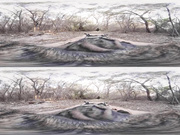 Caught my wife fuck my boss