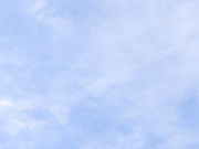 [SBMO-1272] やっぱりMが好き 細田恵子 - 1of5