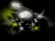 C0930 ki241205 高村 多恵子 38歳