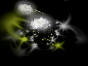 C0930 ki240725 安西 由加里 30歳