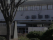 [LCW-048] セックスするなら断然、地方の人妻！ VOL.48 真白りま - 1of5