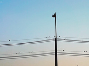 [SQTE-619] 休日に彼女と。SEX好きの彼女と種付け温泉旅行 虹村ゆみ - 1of5