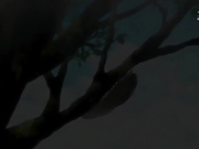 放学后的优等生～巨乳姊妹性欲靠我解＃1