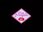 恥辱監禁 ～堕ちた天使たち～