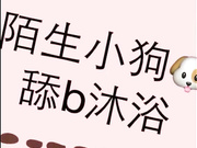 网络红人大淫骚何奕恋12月最新VIP视频陌生小狗舔逼沐浴