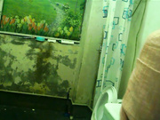 男女混住出租房公共浴室暗藏摄像头偷拍大奶妹洗澡