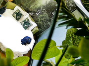 精品小旅馆绿叶房偷拍短小精干战斗力不错的眼镜小胖女友对他很满意完了还给他香吻