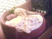 性感气质大美女和网友酒店偷情,男的貌似偷吃药了连操40多分钟射了还干,美女大叫：你不是射了吗,逼都操肿了!