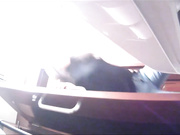 美女如云的餐厅高级坐厕偷拍镜子让美女们前后失守很有撸点