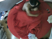 校园附近旅店俯拍周末出来开房的大学生情侣白肤大波妹子呻吟声真娇嫩翻过来调过去干的激情四射高潮受不了叫老公