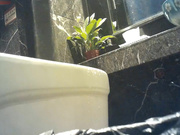 岛国盗拍网站最新流出夜总会女厕偷拍小姐们站着嘘嘘的大美腚