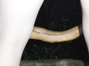 逍遥龙哥和老铁半夜驱车到郊外公园和白虎小太妹户外3P对白精彩