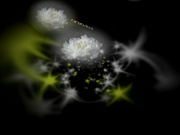 大沢 英美子 Emiko Oosa