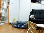 黑客破解家庭网络摄像头TP奶子都挺大的姐妹俩换着洗澡妹子身体这是怎么了全是伤疤还上药呢