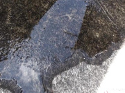 6月盗站流出变态男户外连续跟拍2位美丽小少妇内急难耐找个地方尿尿撒到一半看到路人慌乱中不知所措内裤尿湿直接丢了