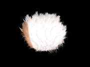 [STAR-404] 性欲、覚醒 Rebirth 麻生希【破解】 - 1of5