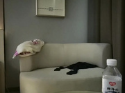 高清源码录制新人小哥《嫖娼代言人》约炮颜值不错的卖淫女可惜没有射出来