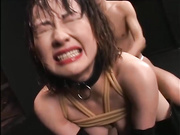 [DDT-208] M・羞恥 顔面嬲り・泣き顔・イキ顔コレクション