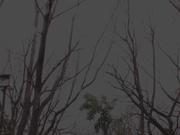 [JUX-873] 性欲を持てあました義理の姉さんと僕 出産直前の妻の目を盗んで… 成宮いろは - 1of5