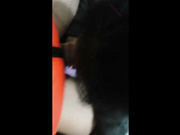 极度反差清纯美丽大学生妹子与男友性爱自拍流出私处又粉又水